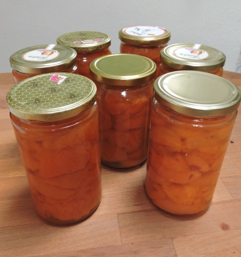 Apricots bottled for the winter